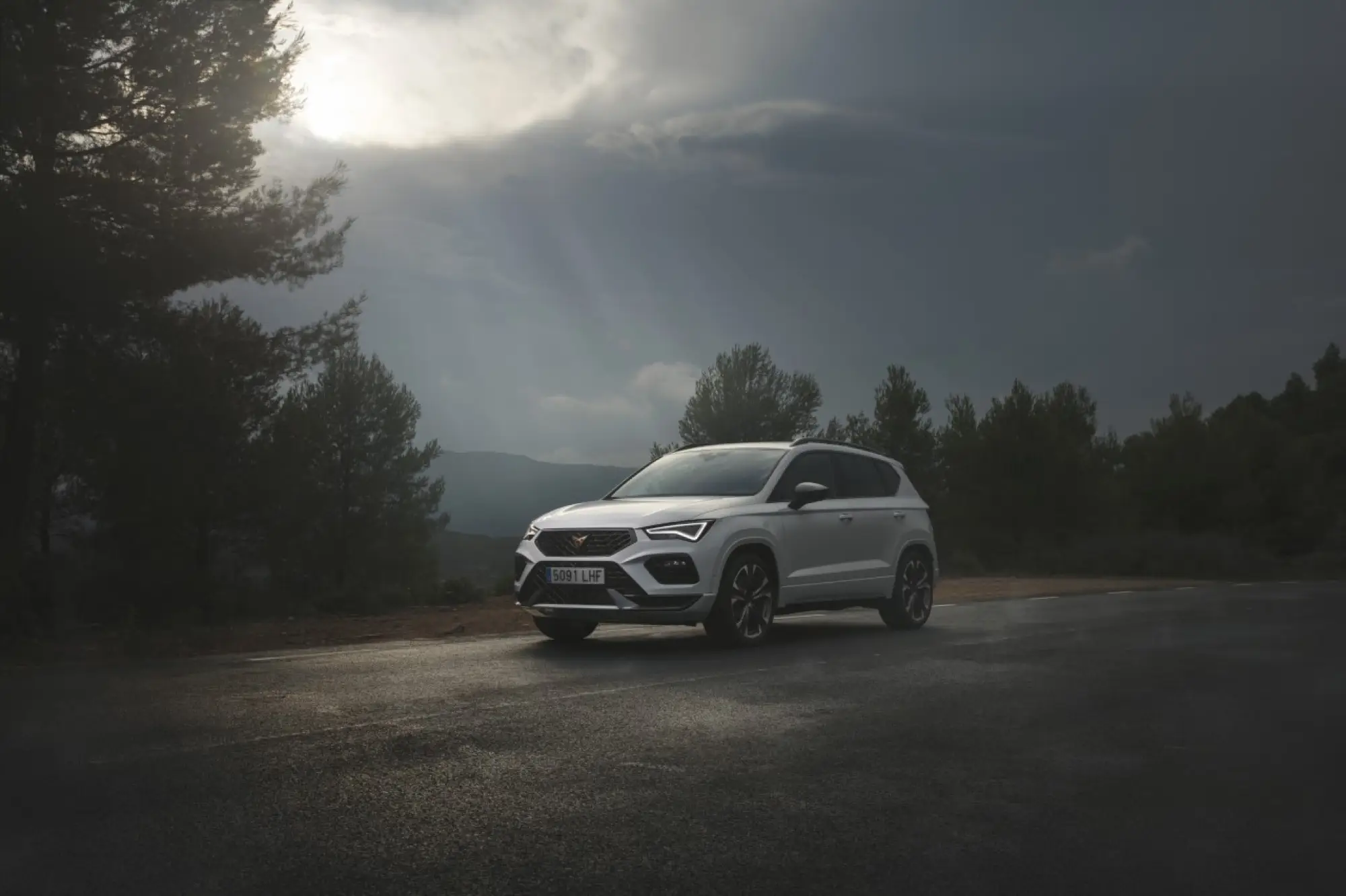 Cupra Ateca 2020 - Foto ufficiali - 13