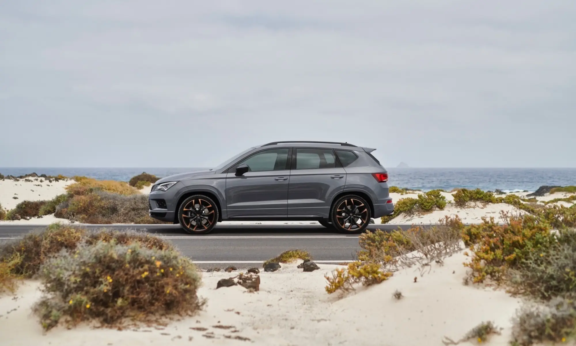 Cupra Ateca Limited Edition - 12