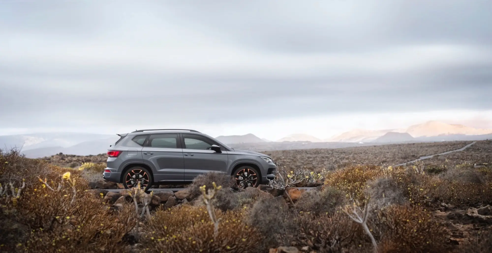 Cupra Ateca Limited Edition - 21