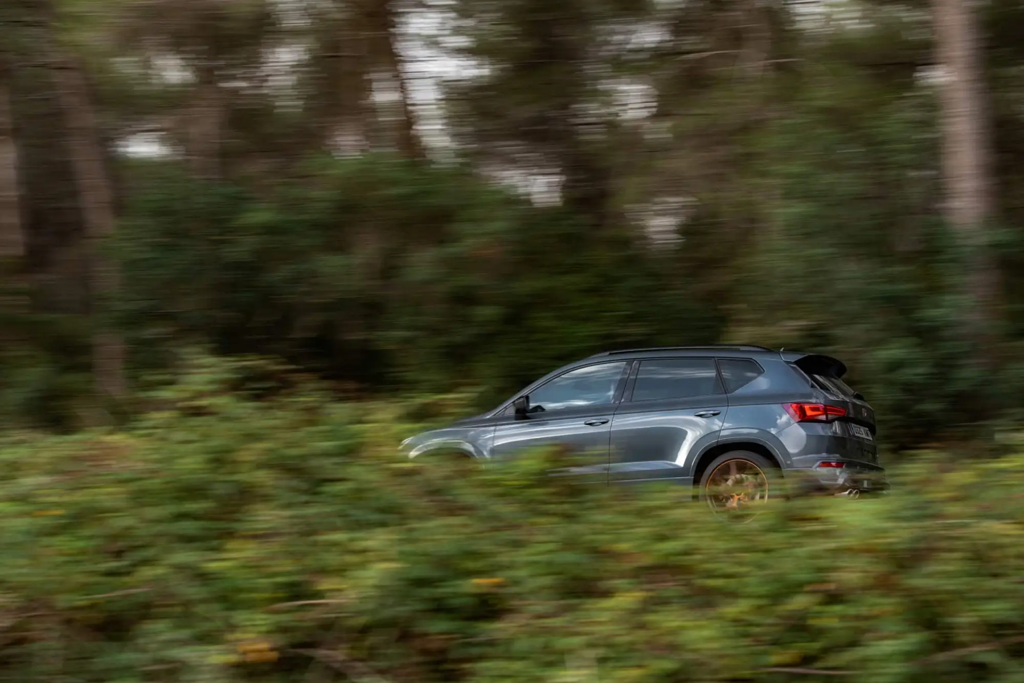 Cupra Ateca - 66