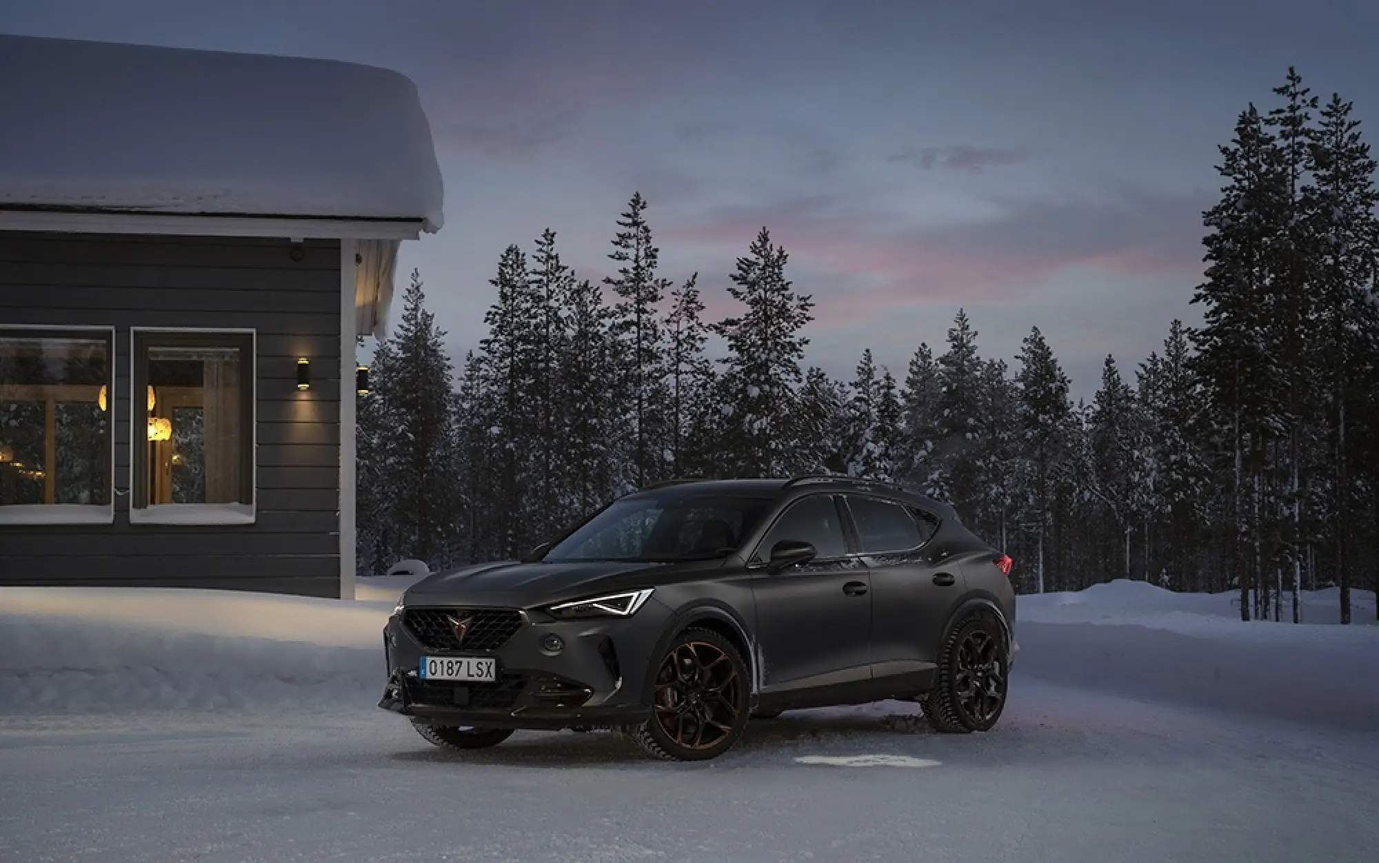 Cupra Formentor VZ5 - Cupra Snow Driving Experience  - 25