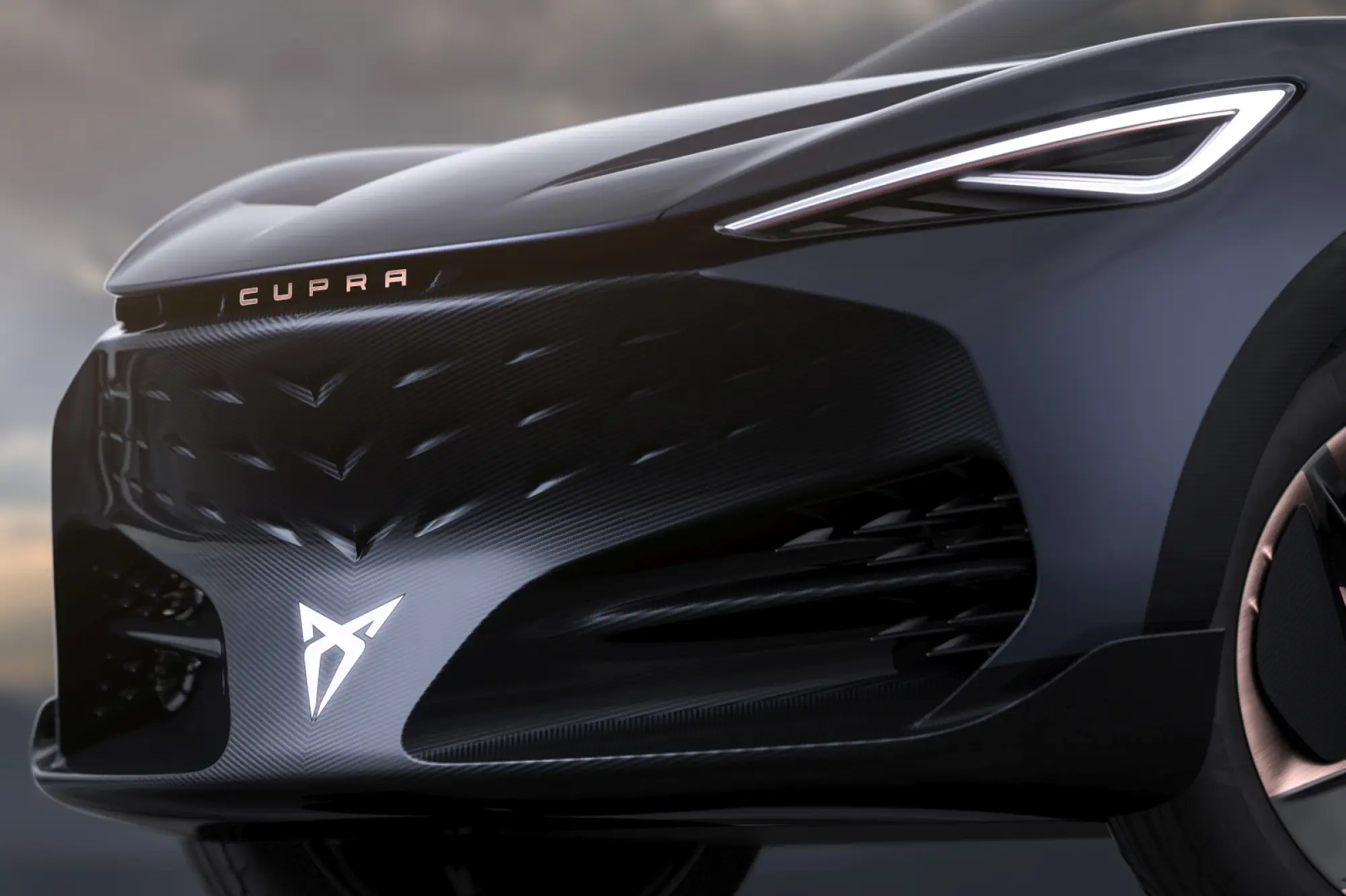 Cupra Tavascan - 2
