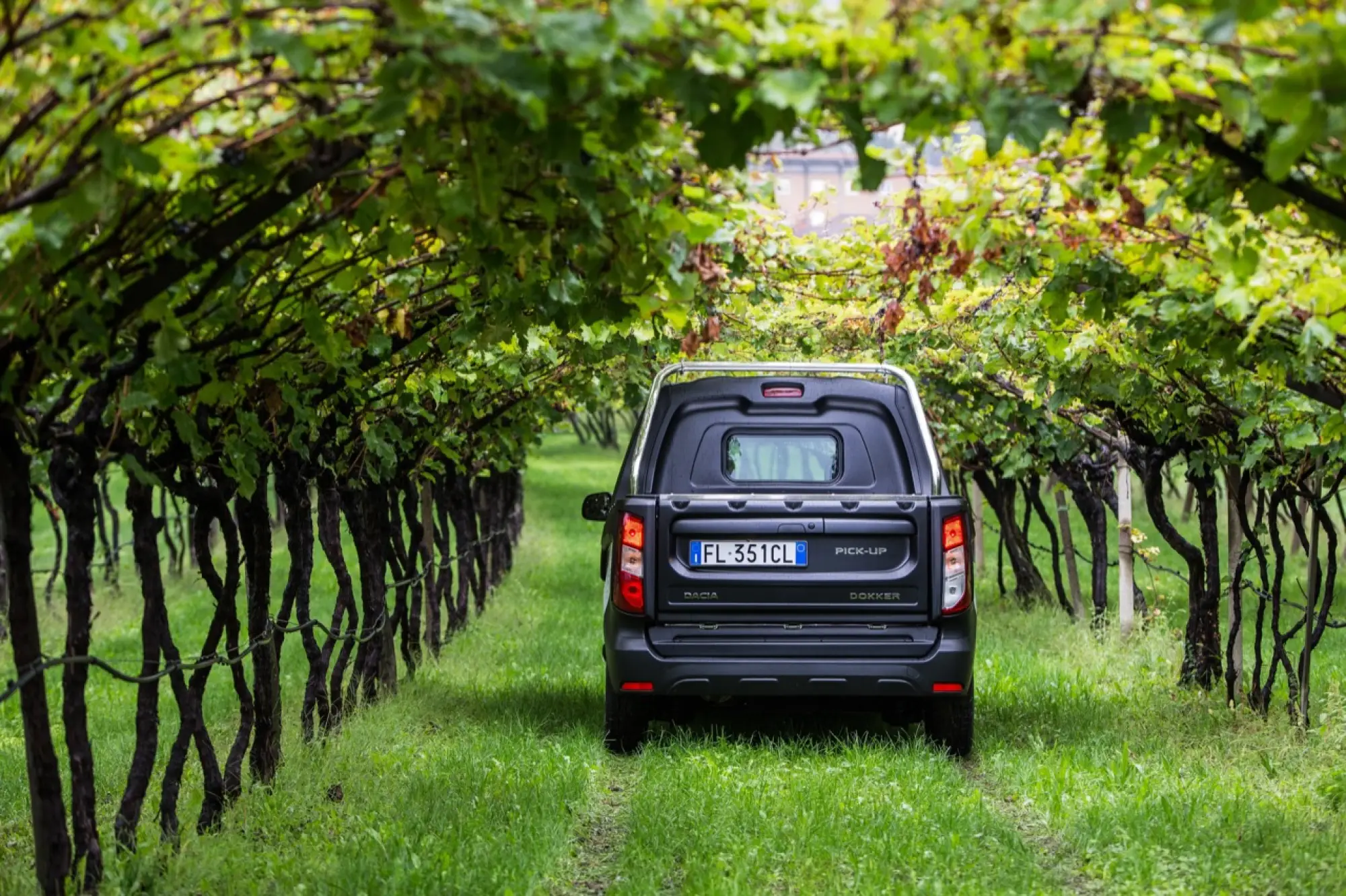 Dacia Dokker Pick-Up - 6
