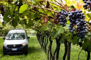 Dacia Dokker Pick-Up - 22