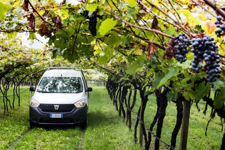 Dacia Dokker Pick-Up - 23