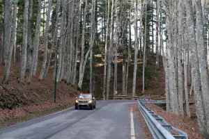 Dacia Duster 2019