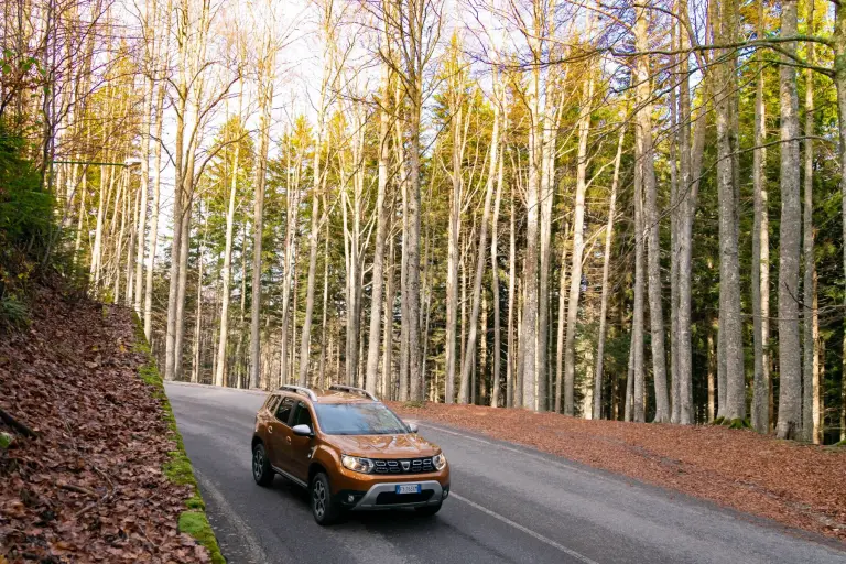 Dacia Duster 2019 - 96