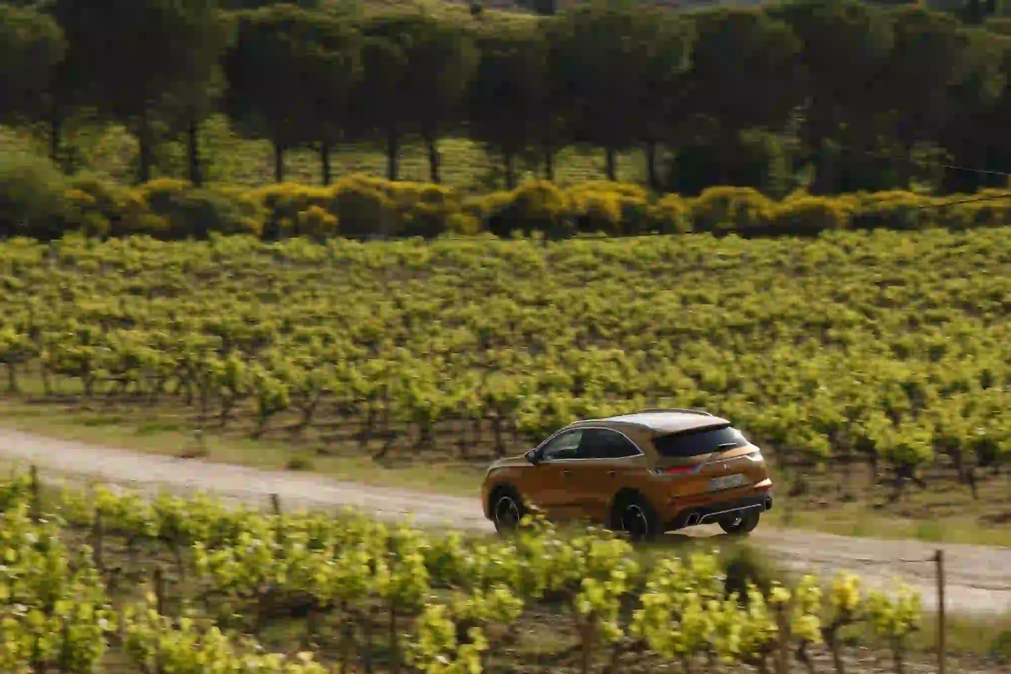 DS 7 Crossback - Puretech 225 - 8