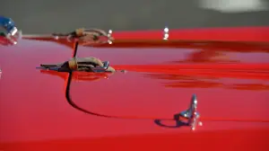 Ferrari 250 GT Tour de France 1958 asta - Foto - 32