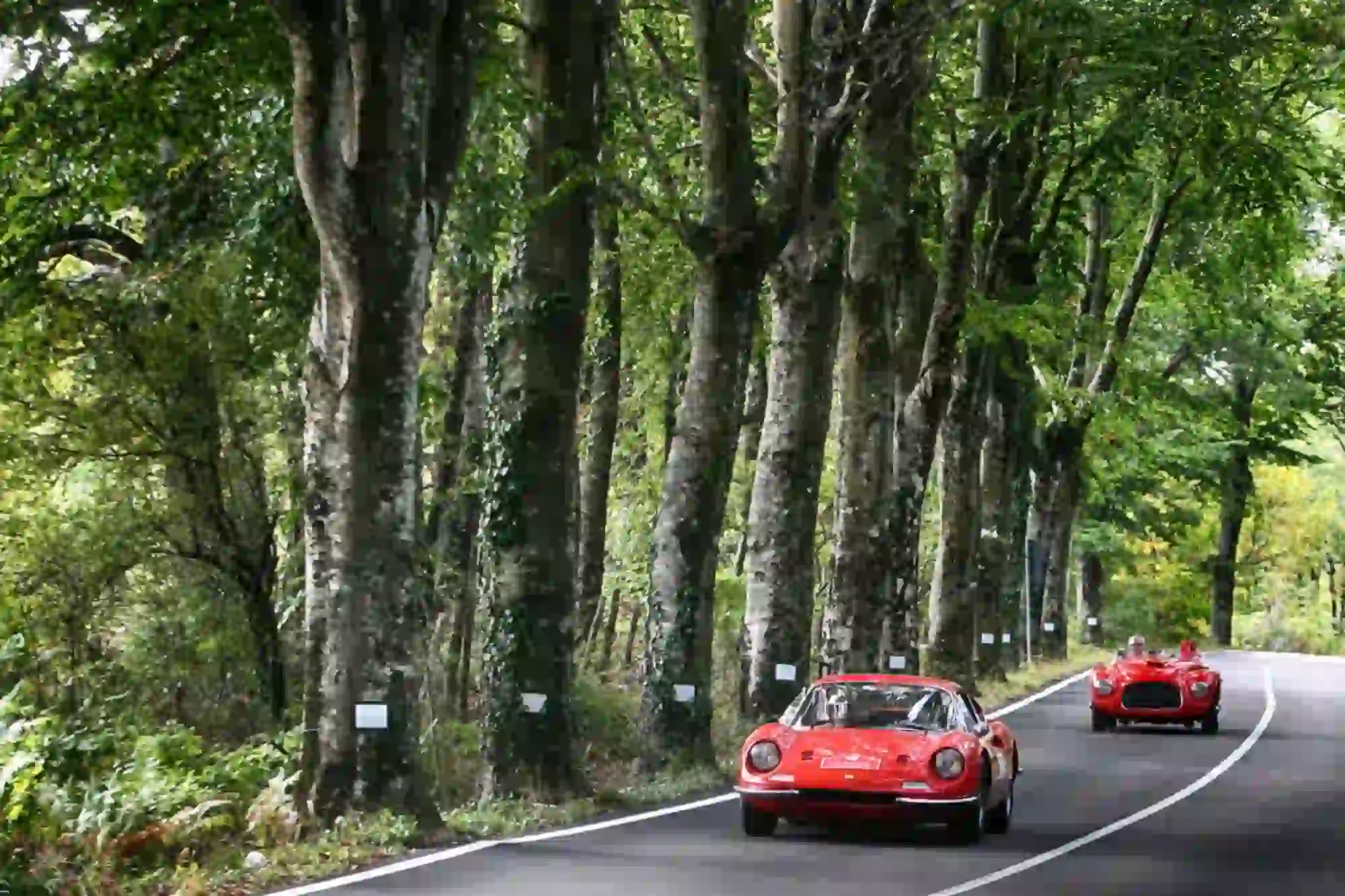Ferrari Cavalcade Classiche 2019 - foto  - 9