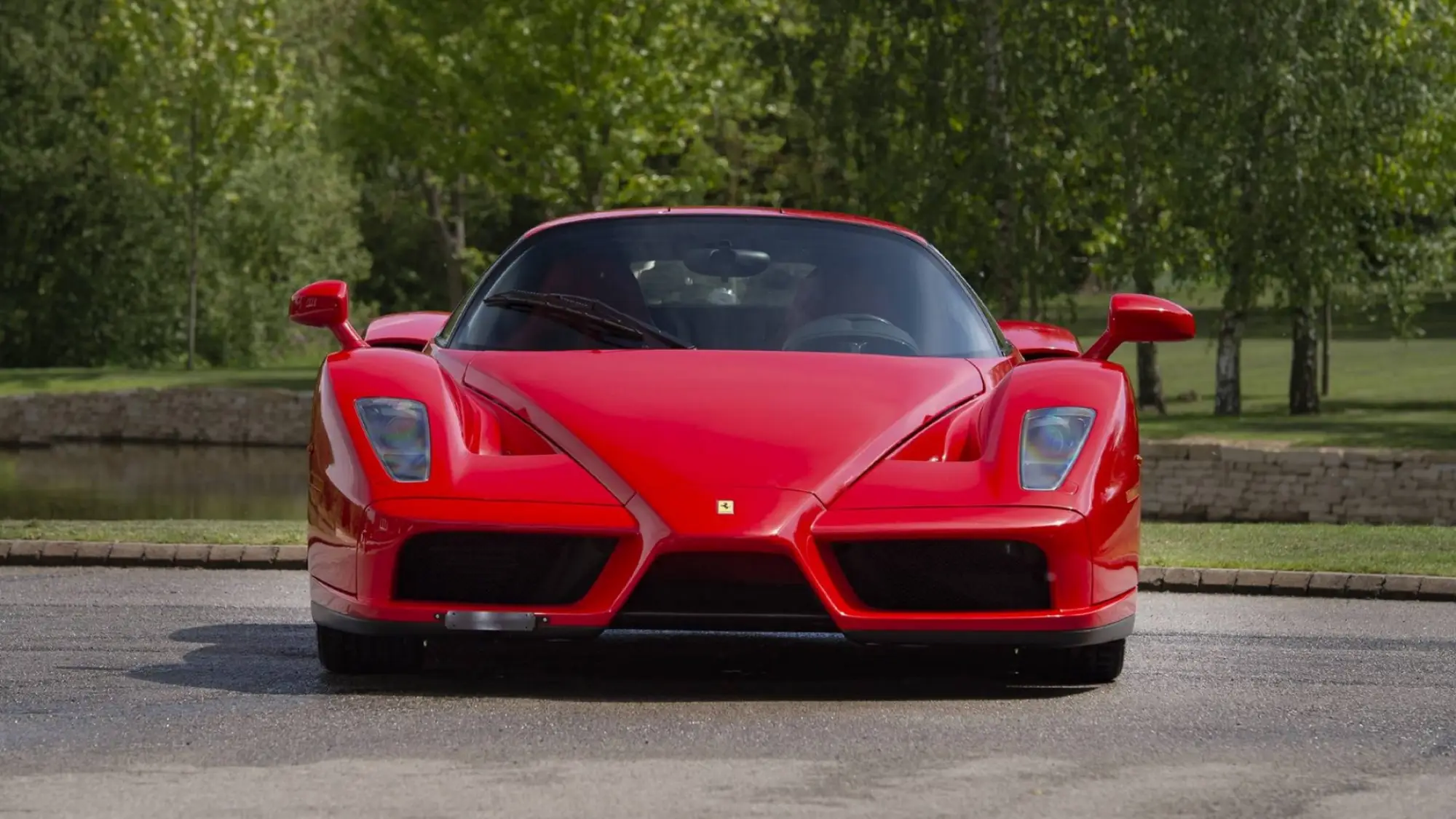 Ferrari Enzo Schumacher - 8