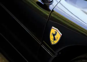 Ferrari F50 Nero Daytona