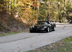 Ferrari F50 Nero Daytona