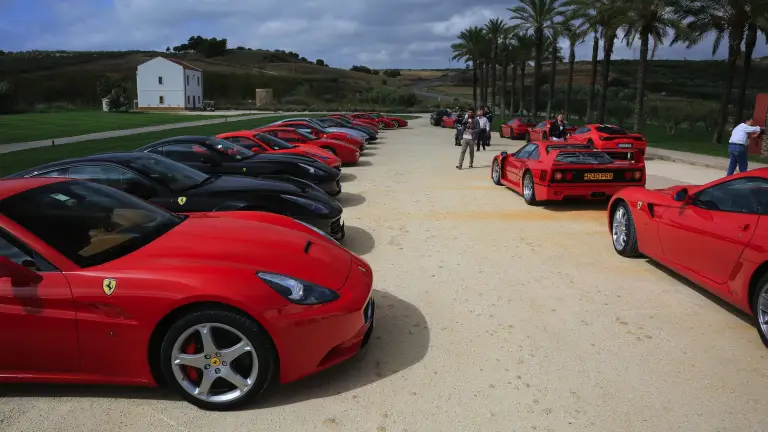 Ferrari Tribute - 3