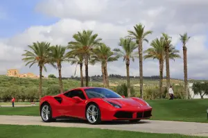 Ferrari Tribute