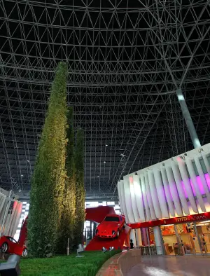 Ferrari World - 23