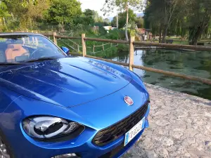 Fiat 124 Spider Molise