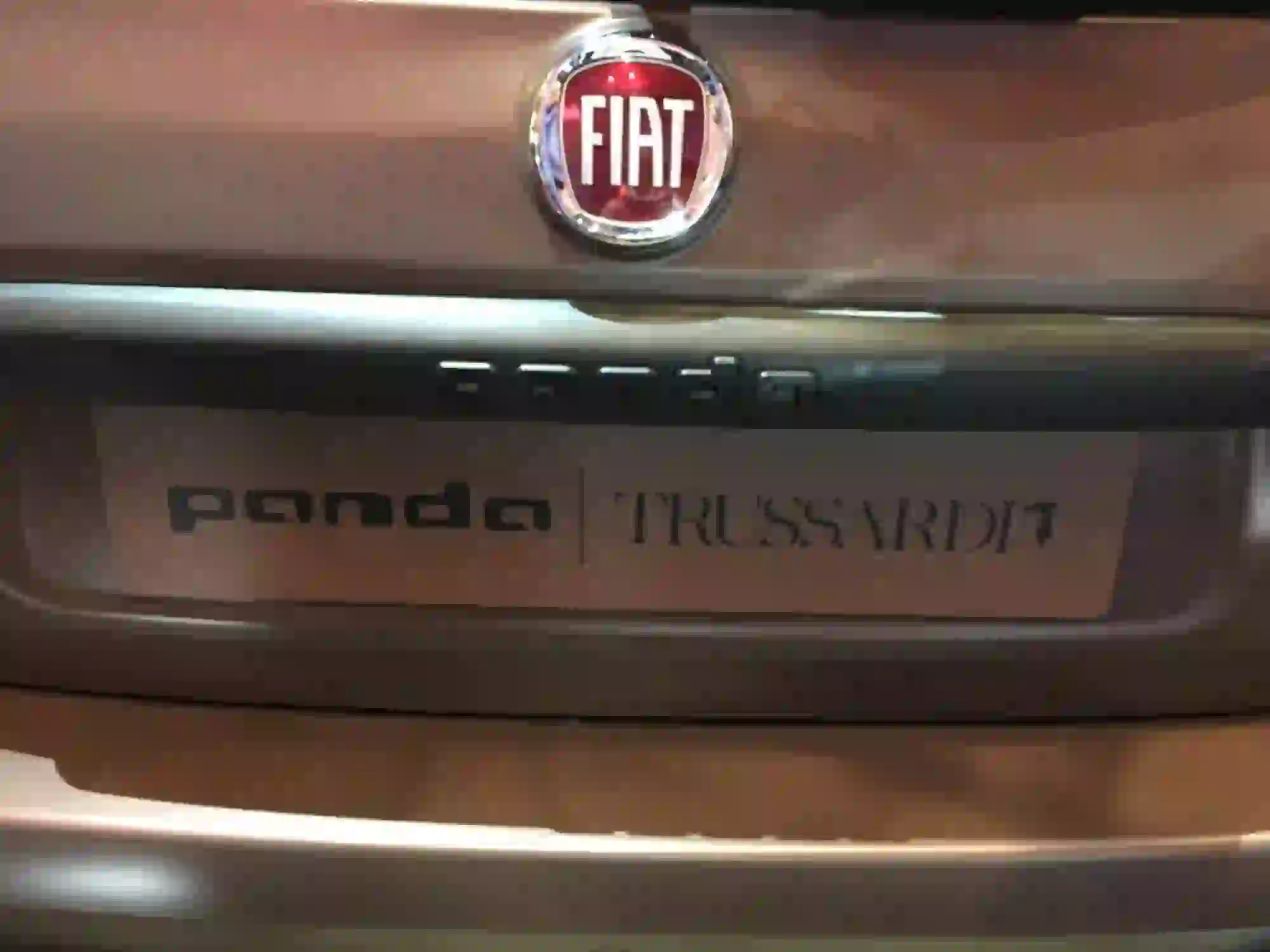 Fiat Panda Trussardi - Milano - 34