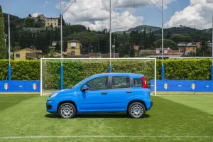 Fiat Pandazzurri - 3
