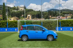 Fiat Pandazzurri