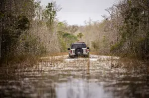 Ford Bronco Everglades - Foto - 33