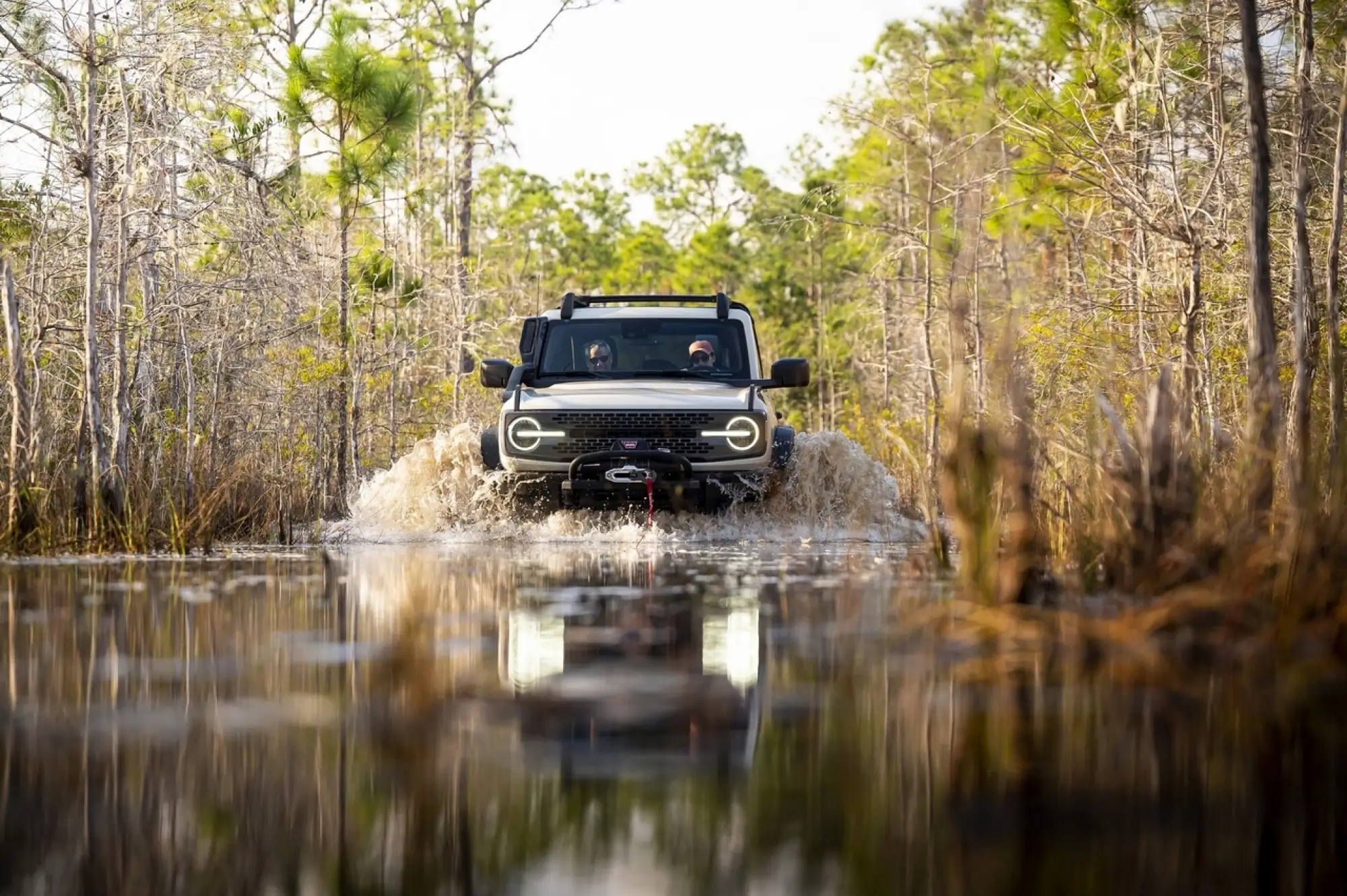 Ford Bronco Everglades - Foto - 3