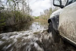 Ford Bronco Everglades - Foto