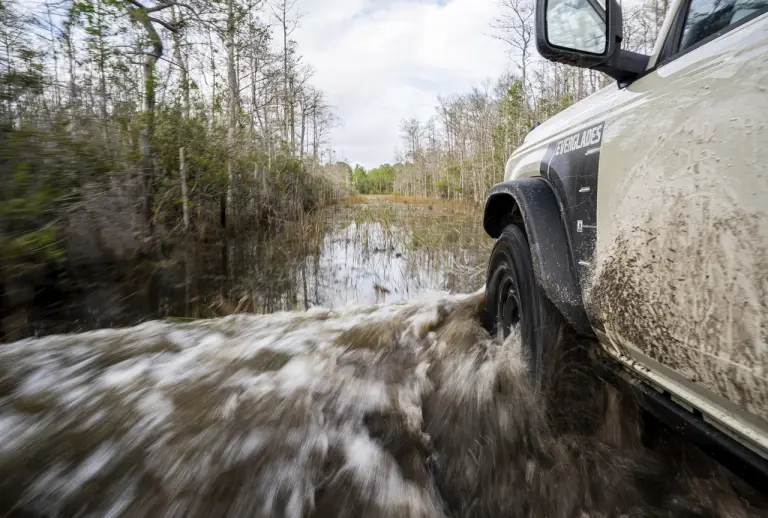 Ford Bronco Everglades - Foto - 4
