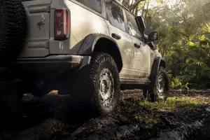 Ford Bronco Everglades - Foto