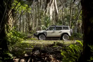 Ford Bronco Everglades - Foto - 40