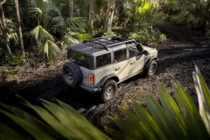 Ford Bronco Everglades - Foto