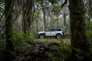 Ford Bronco Everglades - Foto - 8