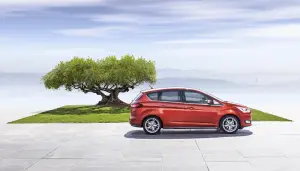 Ford C-Max 2015 - 20