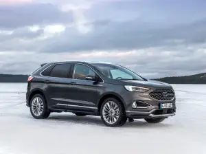 Ford Edge 2019 - 100