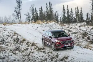 Ford Edge 2019 - 150