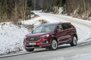 Ford Edge 2019 - 152