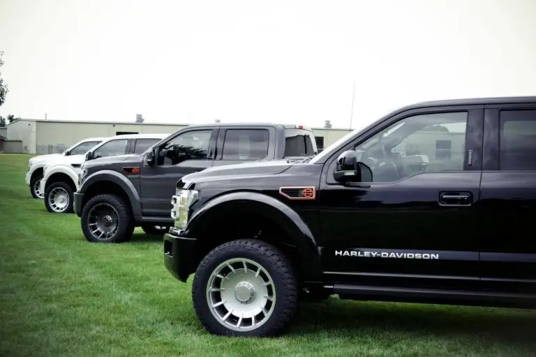 Ford F-150 Harley-Davidson - 14