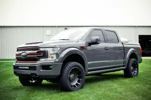 Ford F-150 Harley-Davidson - 4