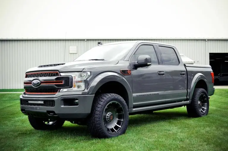 Ford F-150 Harley-Davidson - 4