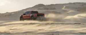 Ford F-150 Raptor 2021 - 24