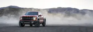 Ford F-150 Raptor 2021 - 36