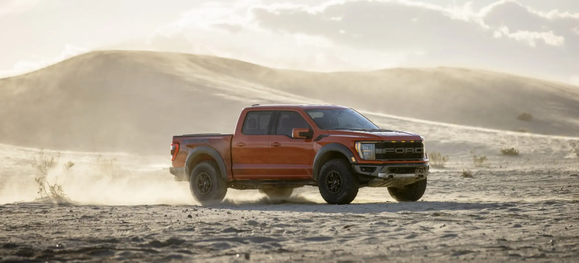 Ford F-150 Raptor 2021 - 33