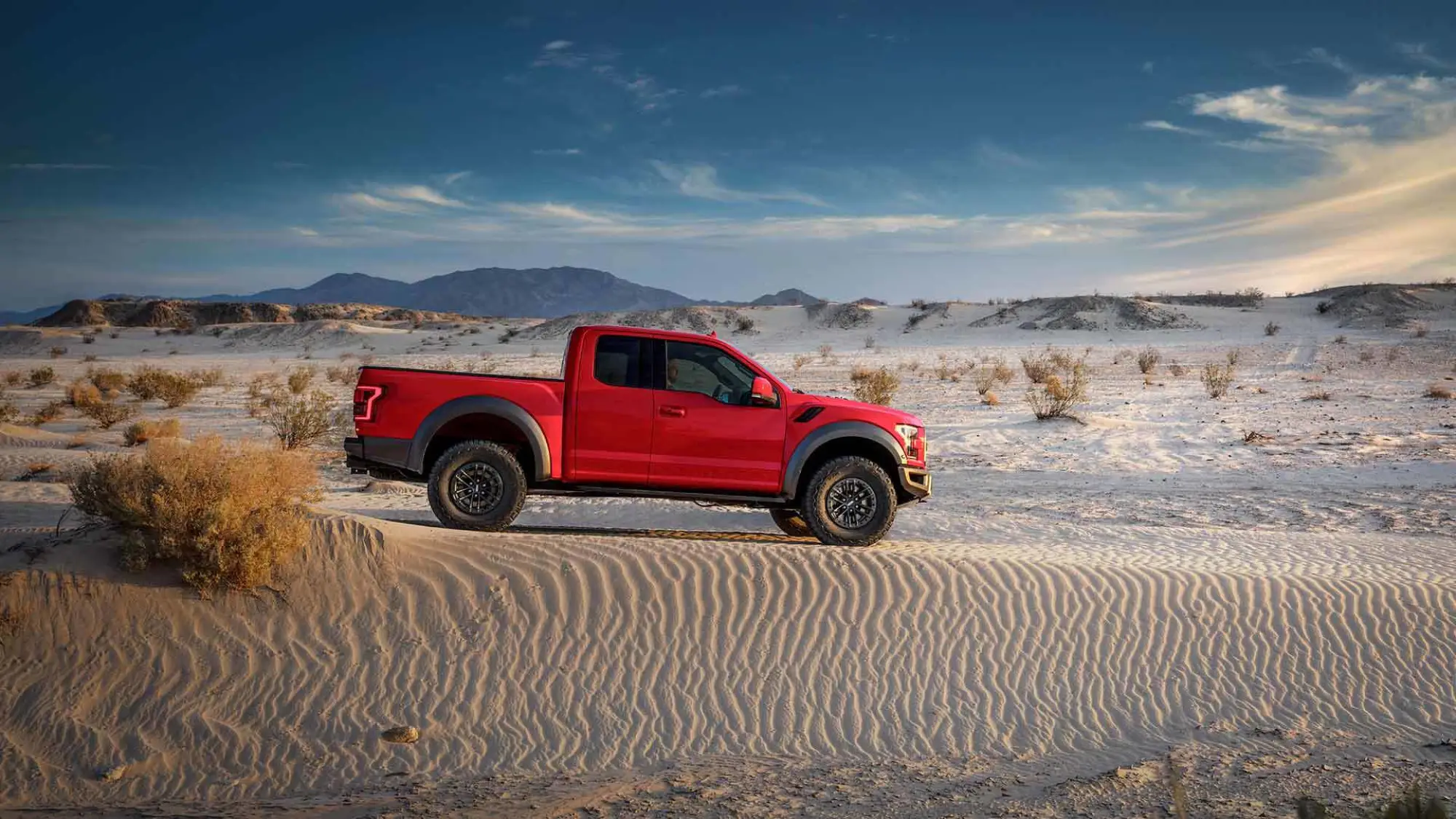 Ford F-150 Raptor MY 2019 - 10