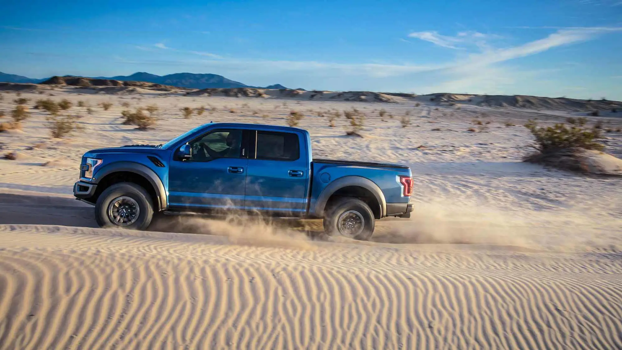 Ford F-150 Raptor MY 2019 - 12