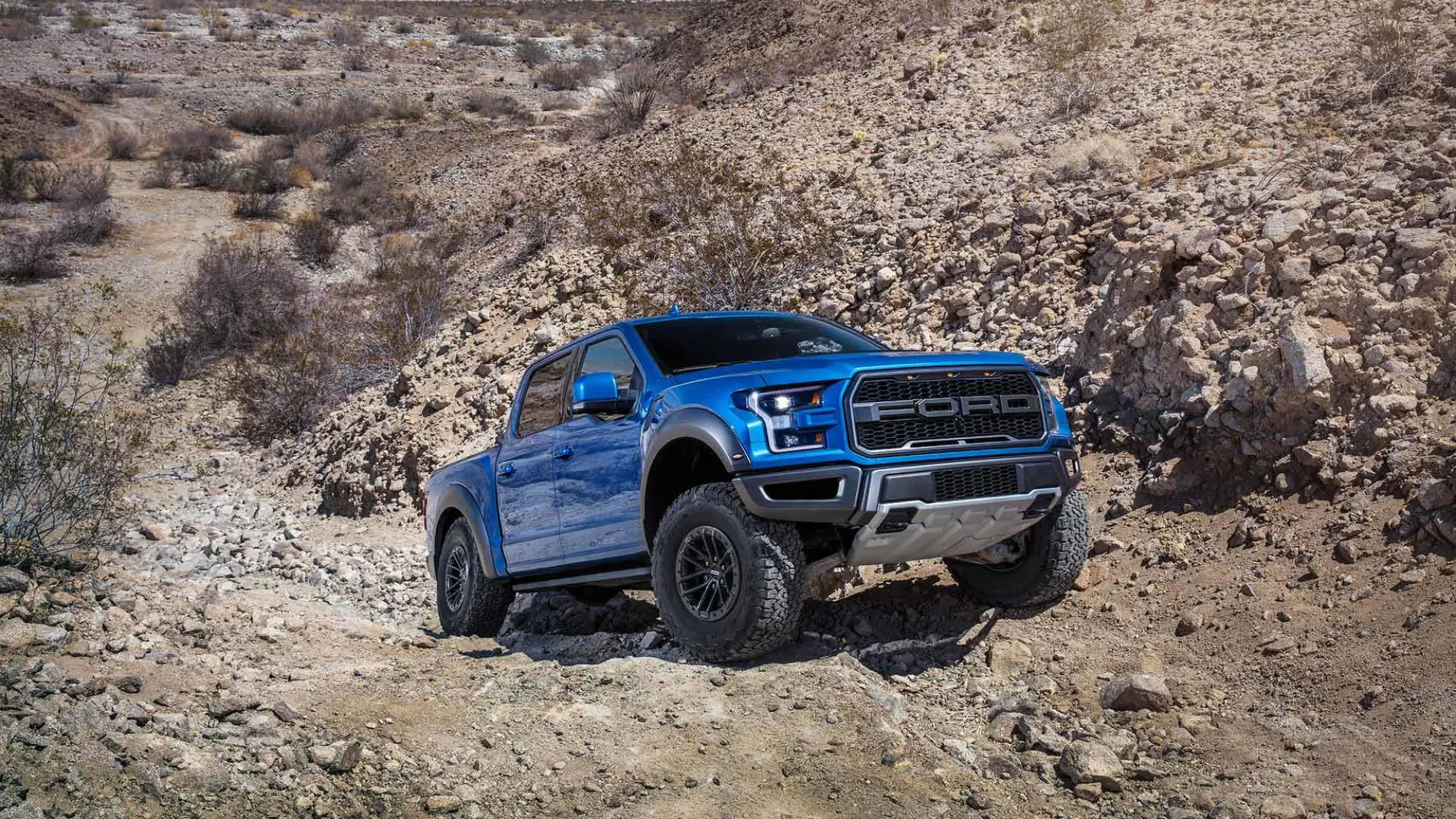 Ford F-150 Raptor MY 2019 - 4