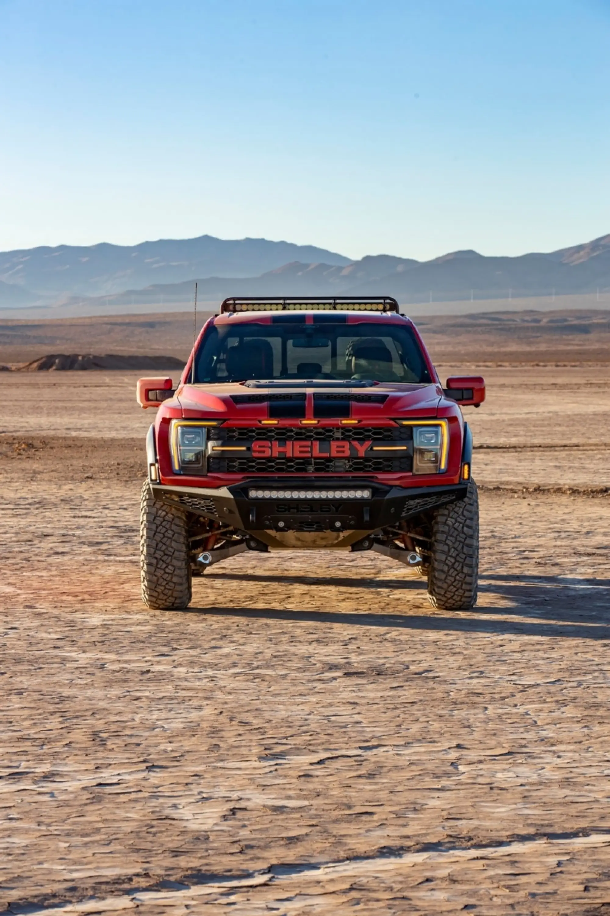 Ford F-150 Raptor Shelby - Foto - 28