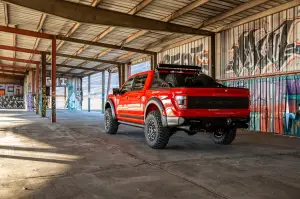 Ford F-150 Raptor Shelby - Foto - 14