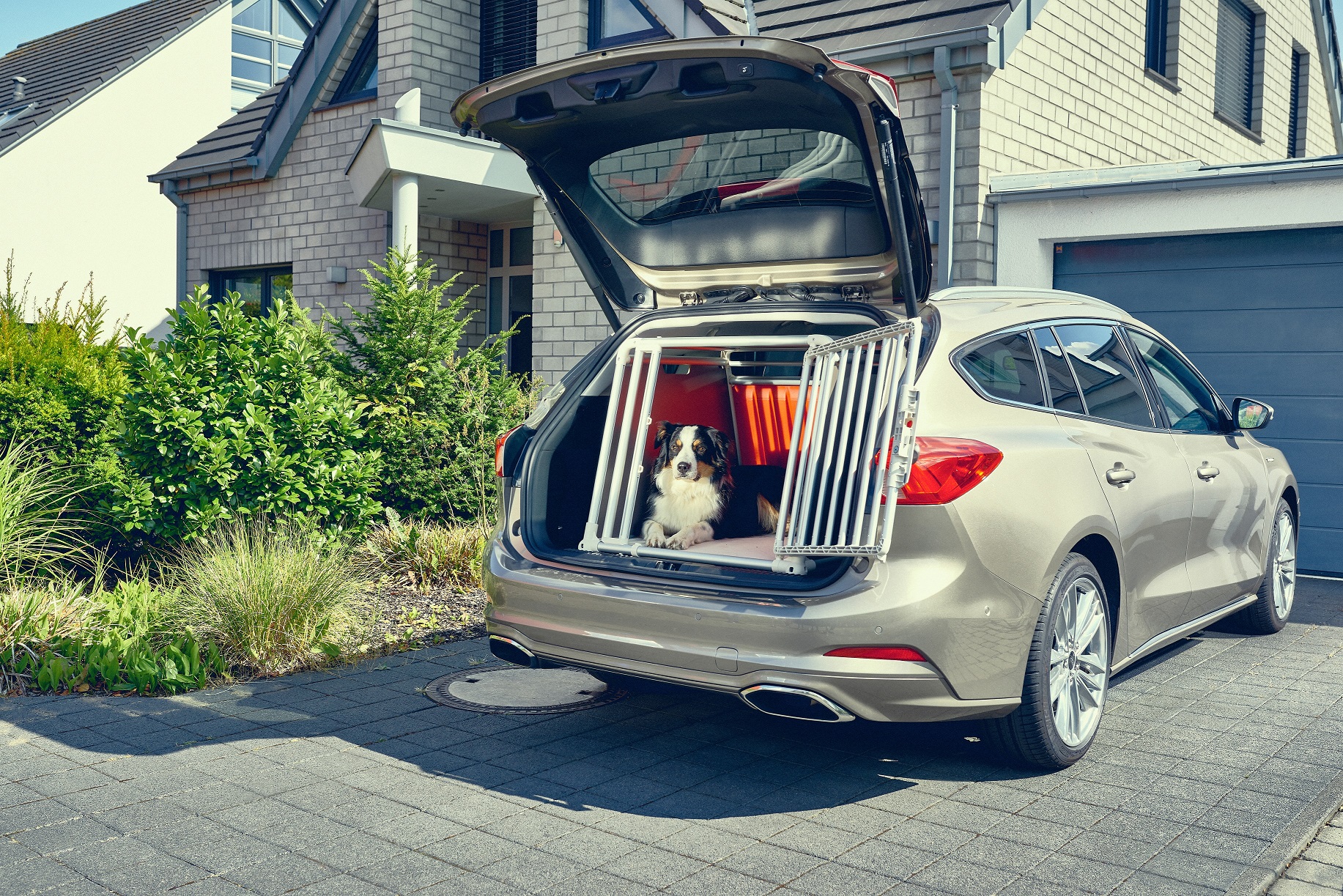 Ford Focus wagon - Dog box