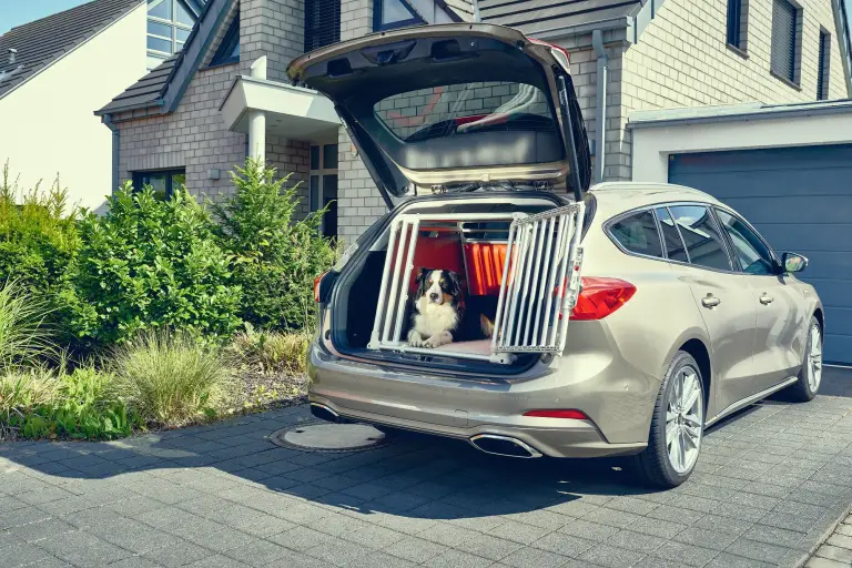 Ford Focus wagon - Dog box - 1