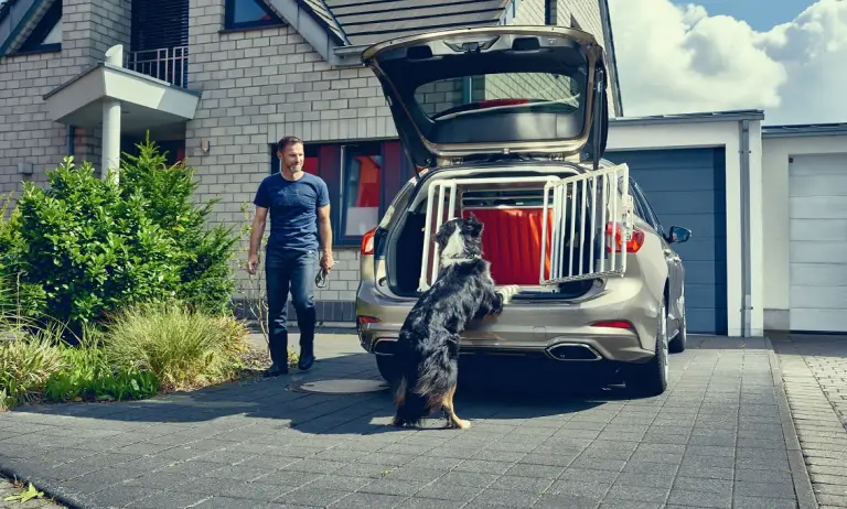 Ford Focus wagon - Dog box - 3